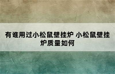 有谁用过小松鼠壁挂炉 小松鼠壁挂炉质量如何